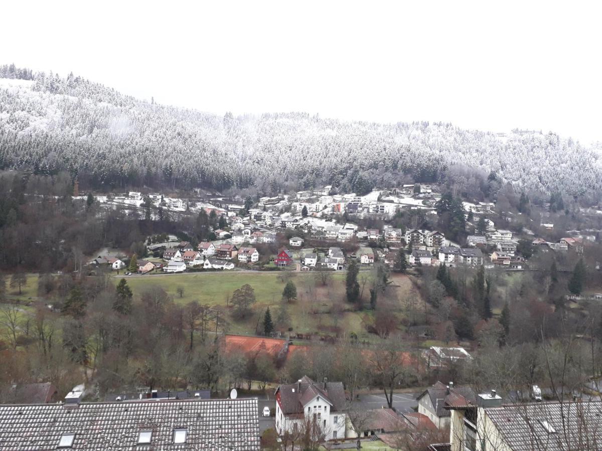 Ferienwohnung In Ruhiger Waldrandlage Bad Wildbad Extérieur photo