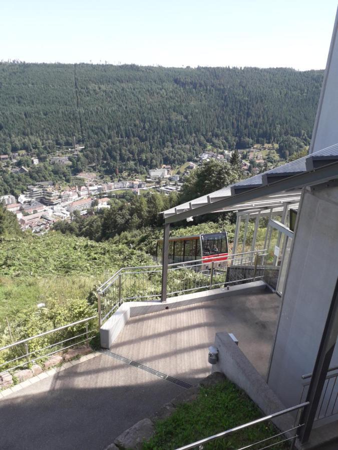 Ferienwohnung In Ruhiger Waldrandlage Bad Wildbad Extérieur photo