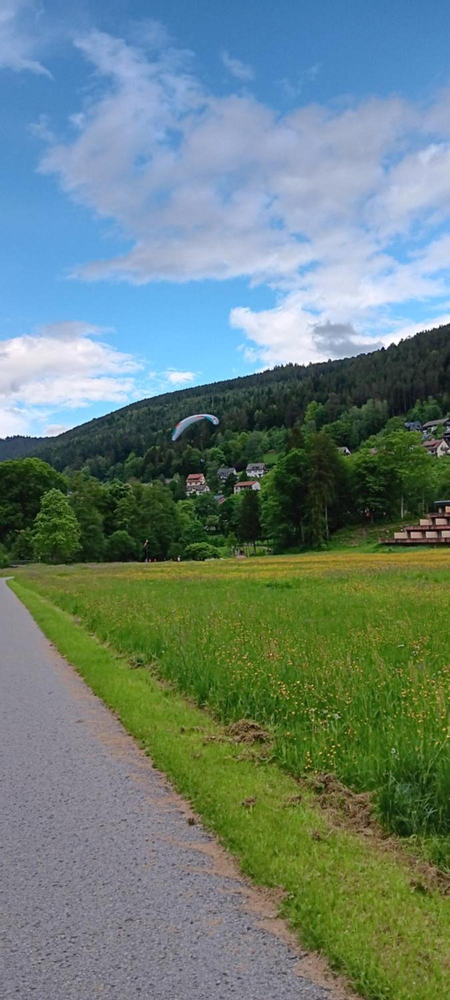 Ferienwohnung In Ruhiger Waldrandlage Bad Wildbad Chambre photo