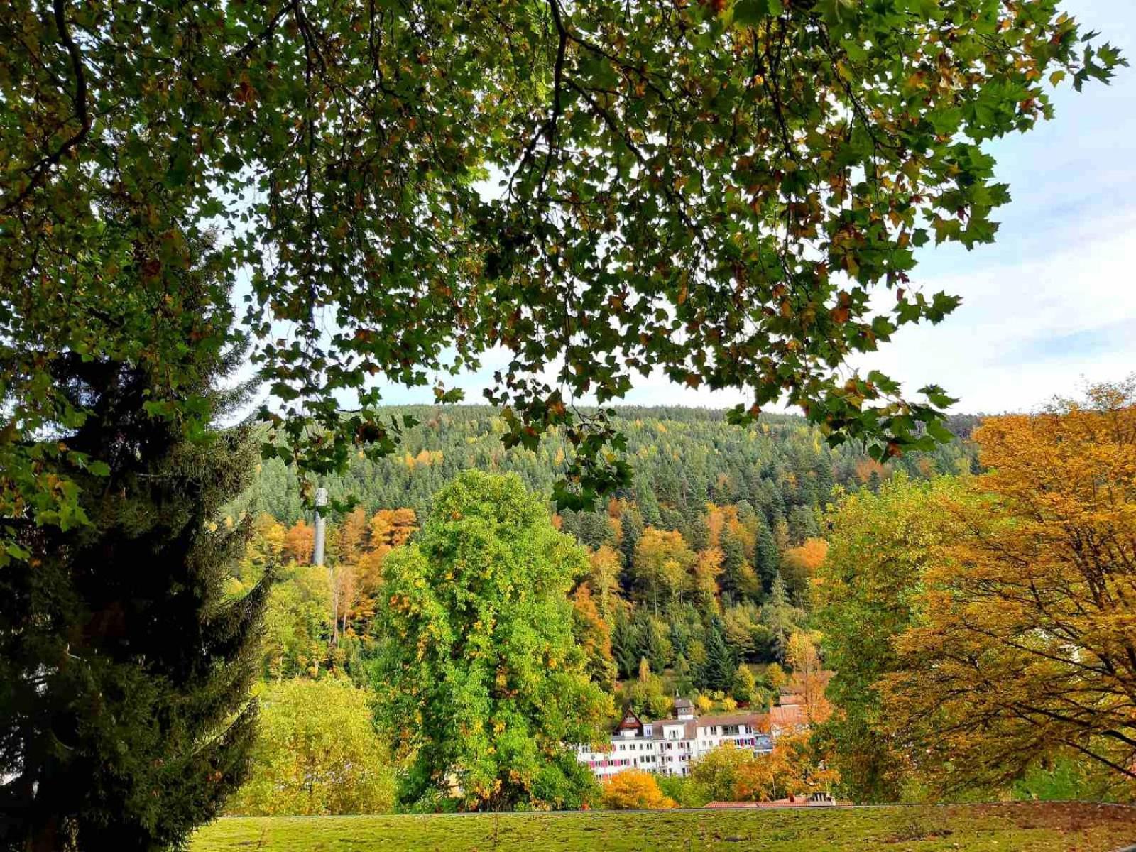 Ferienwohnung In Ruhiger Waldrandlage Bad Wildbad Chambre photo