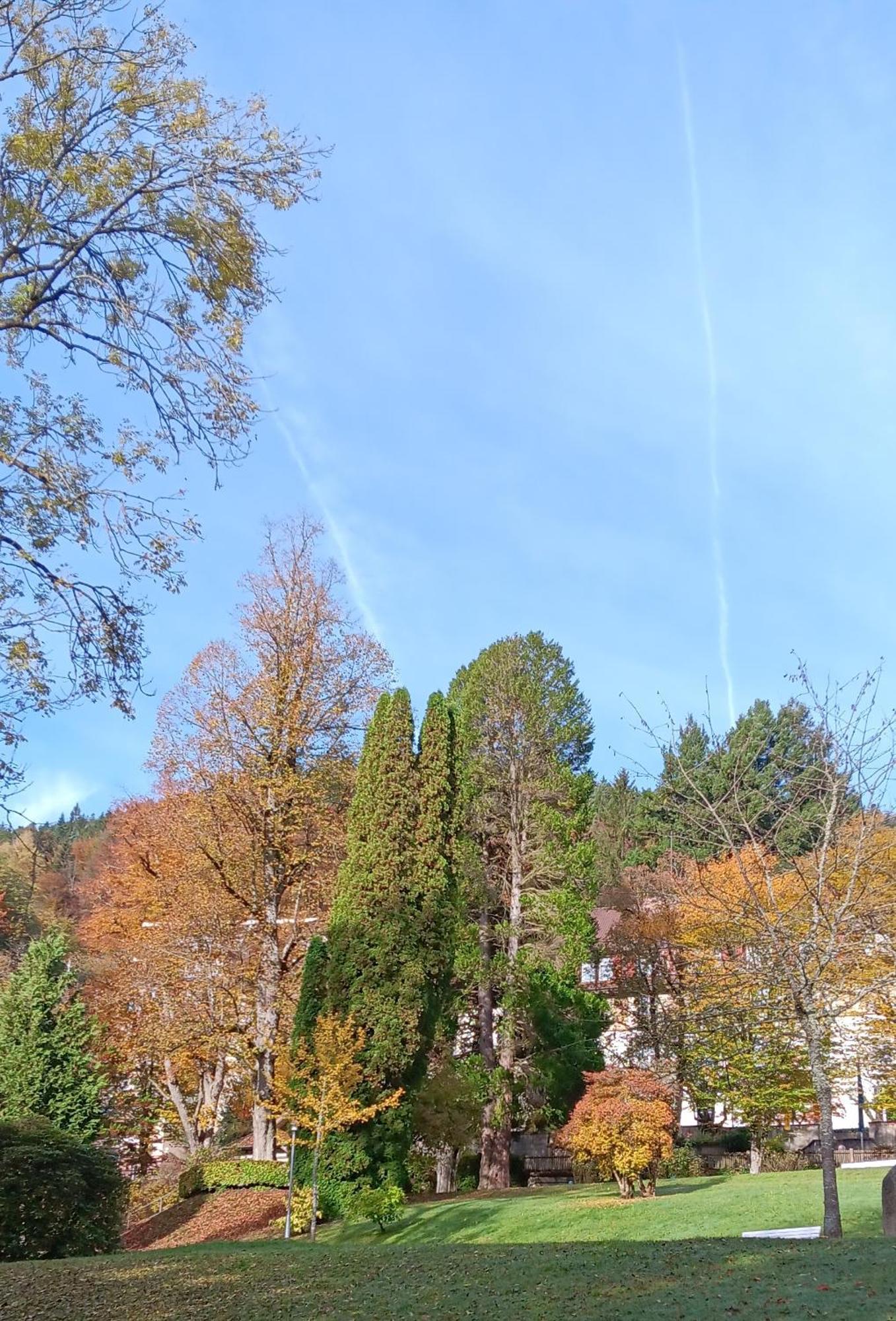 Ferienwohnung In Ruhiger Waldrandlage Bad Wildbad Chambre photo